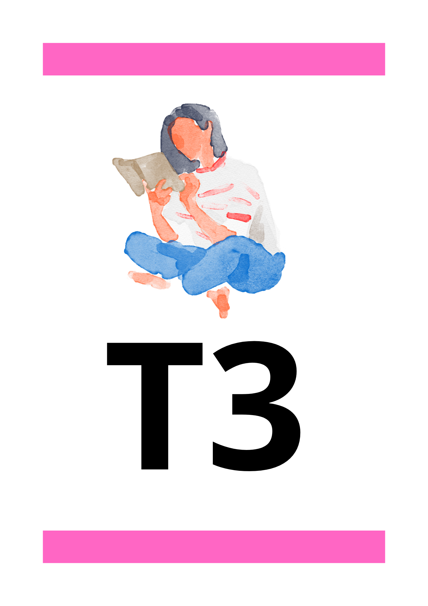 T3